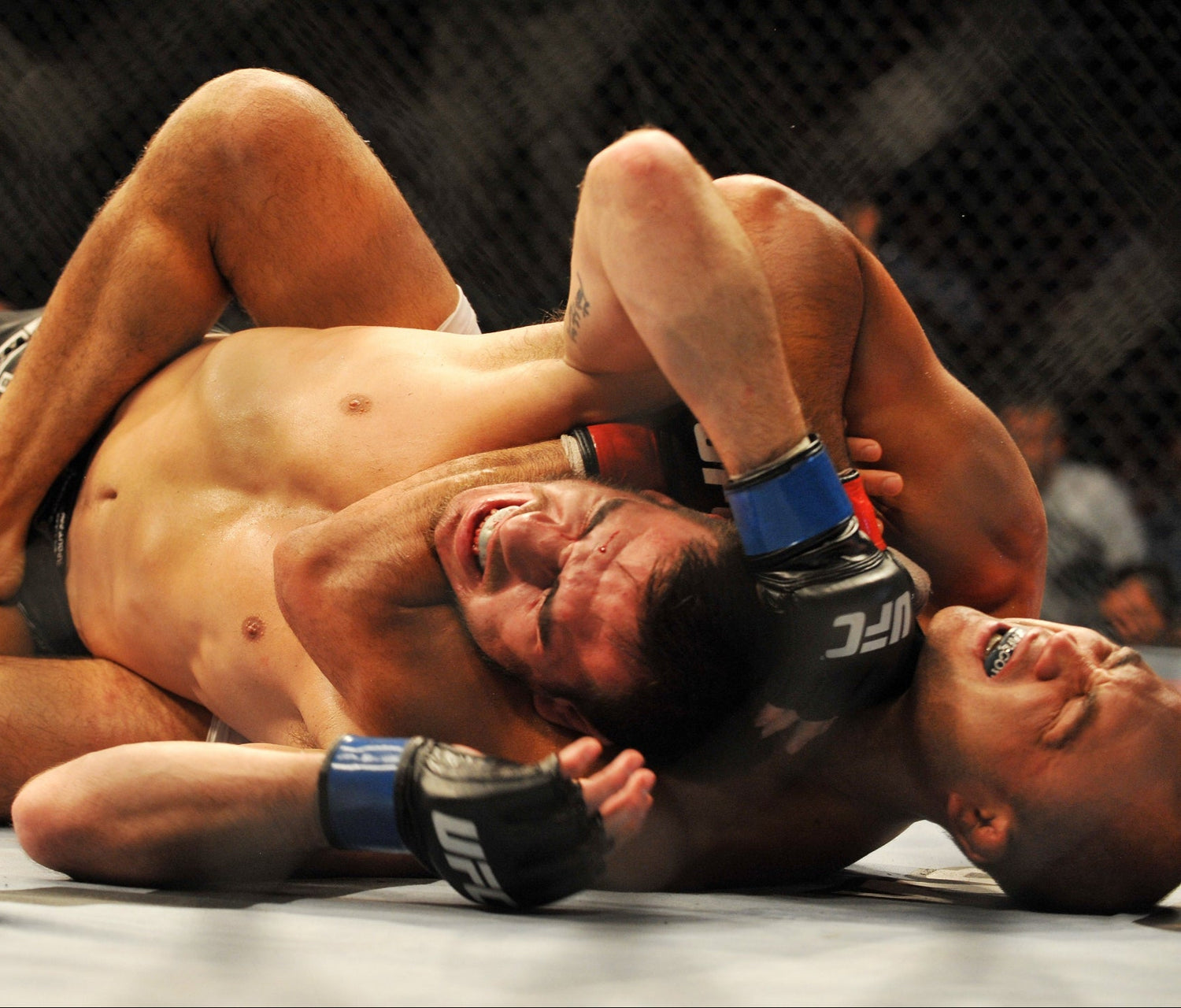 Two fighters in a cage fight, one on top of the other, with visible branding on their gloves.